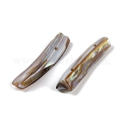 Кнопки пресноводных оболочки SHEL-K009-09