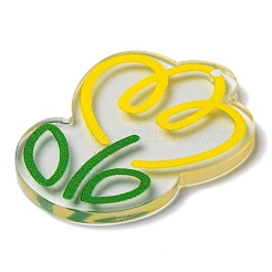 Прозрачные акриловые подвески&nbsp;MACR-Q160-02B