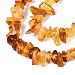 Perles d'ambre naturel brins&nbsp;G-N371-21A-01