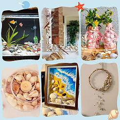 14 стиль украшения из натуральных ракушек&nbsp;AJEW-PH0011-89