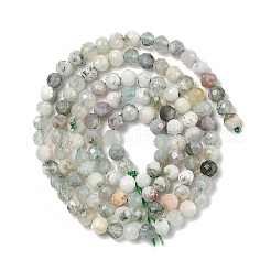 Натурального дерева агат бисер нитей G-G189-D12-03