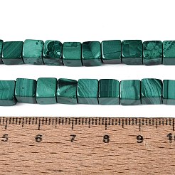 Natur Malachit Perlen Stränge&nbsp;G-Q608-24