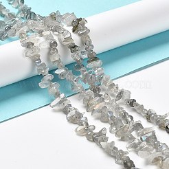 Природные лабрадорита бисер нитей G-E607-A02