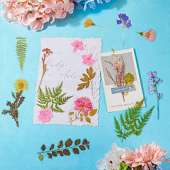 4 пакетик 4 видов самоклеящихся водонепроницаемых наклеек для растений и животных&nbsp;DIY-TA0009-84