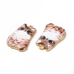 Подвески из эмали и сплава&nbsp;X-ENAM-M046-12G-C