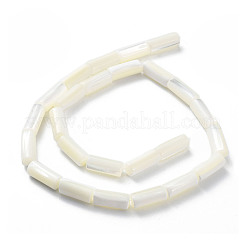 Нити бусин из натуральной ракушки трохус SSHEL-S266-020A-05