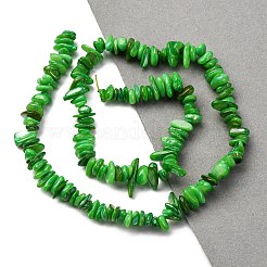 天然淡水シェルビーズ連売り  チップ  染め  グリーン  6~16x4~8x1~7mm  穴：1mm  約97~157個/連  15.75インチ（40cm）&nbsp;BSHE-I016-01D