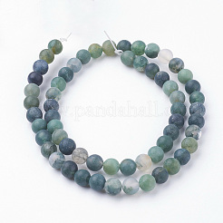 Природные моховой агат нитей бисера&nbsp;G-G735-62F-6mm