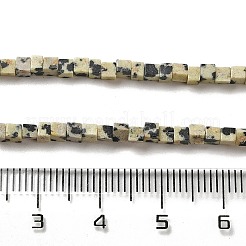 Dalmata naturale perline di diaspro fili&nbsp;G-B064-A11