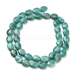 Природных амазонит бисер нитей&nbsp;G-H335-N02-8x10mm
