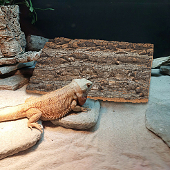 Украшение из коры дерева&nbsp;AJEW-WH0696-280