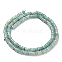 Природных амазонит бисер нитей G-Z110-A25-2x4mm