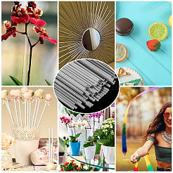 100шт акриловые стержни сплошные AJEW-SP0002-57A