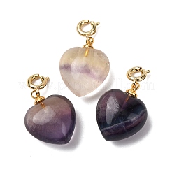 Pendentifs en forme de cœur en pierre naturelle mélangée&nbsp;G-B188-06G