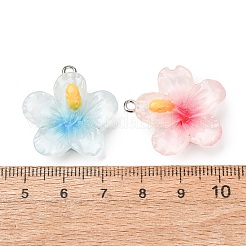 Pendentifs en résine transparente&nbsp;RE-CBA5F64-01
