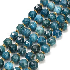 Chapelets de perles en apatite naturelle&nbsp;GG-CBA3921-B10-8mm