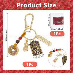 Брелки из смолы и латуни AJEW-WH0455-96