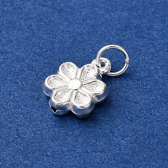 Pendentifs en argent sterling 925&nbsp;STER-P070-02S