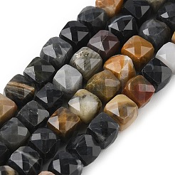 Природные окаменелое дерево бисер пряди G-H078-C51-6mm