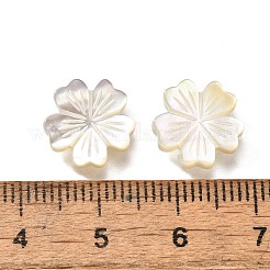 Натуральные белые бусины из ракушек BSHE-Z008-07