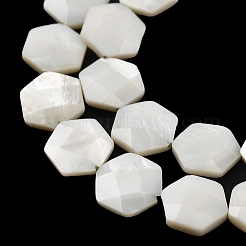 Нити бусин из натуральной белой ракушки SHEL-G022-01