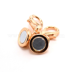 Сплав магнитные застежки FIND-CJC0012-003G