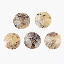 Perlmuttknöpfe, natürlicher Akoya-Muschelknopf, Flachrund, Kamel, 30x3~5 mm, Bohrung: 1.6 mm