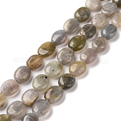 Perline labradorite naturale fili, ovale, 9~11x8~8.5x4.5~5mm, Foro: 0.8 mm, circa 39pcs/filo, 15.55 pollice (39.5 cm)