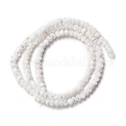 Fili di perle di conchiglia trochid naturale / trochus, abaco perline, colore conchiglia, 3x4~4.5mm, Foro: 0.9 mm, circa 135pcs/filo, 15.94 pollice (40.5 cm)