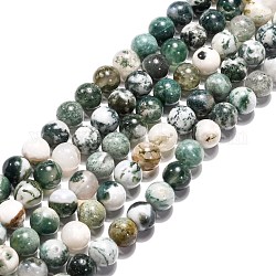 Chapelets de perles en agate d'arbre naturelle, ronde, vert de mer moyen, 8mm, Trou: 1mm