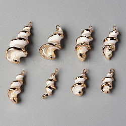 Colgantes de concha de troquídea natural / concha de troco, con asas de hierro, borde dorado plateado, vórtice, color de concha, 20~40x8~17x8~16mm, agujero: 1.8 mm