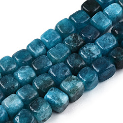 Chapelets de perles de jade blanche naturelle, teints et chauffée, cube, bleu acier, 7~8x7~8x7~8mm, Trou: 0.9mm, Environ 45~49 pcs/chapelet, 13.39~14.57 pouce (34~37 cm)