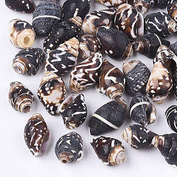 Perles de coquillages en spirale, brun coco, 10~16x7~10x7~9mm, Trou: 1~3mm