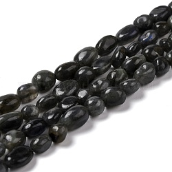 Brins de perles de larvikite naturelles, pierre roulée, pépites, 5~10.5x5~6.5x4~5.5mm, Trou: 1mm, Environ 53~54 pcs/chapelet, 15.16~15.35 pouce (38.5~39 cm)