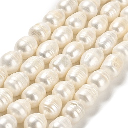 Brins de perles de culture d'eau douce naturelles, riz, grade AB, floral blanc, 12~12.5x9.5~11mm, Trou: 0.6mm, Environ 28 pcs/chapelet, 13.78 pouce (35 cm)