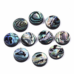 Perles de coquille d'ormeau naturel/coquille de paua, plat rond, colorées, 14.5x3.5mm, Trou: 1mm