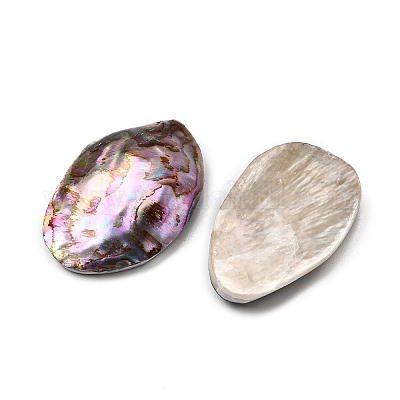 Естественно Ракушка Пауа кабошоны SSHEL-S280-01C-1