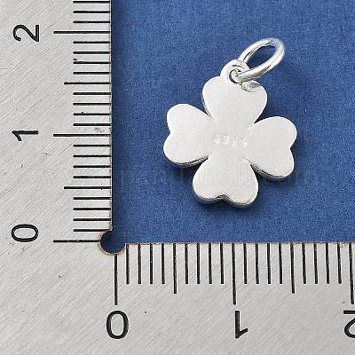 925 серебряный шарм STER-S009-12A-S-1