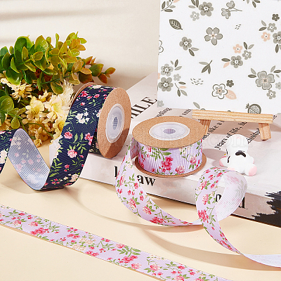 2 рулон 2-х цветной полиэфирной ленты SRIB-GF0001-19-1