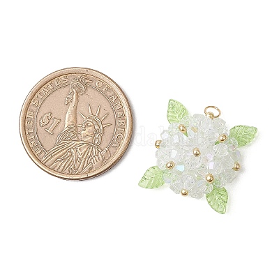 Стеклянные подвески PALLOY-MZ00711-02-1