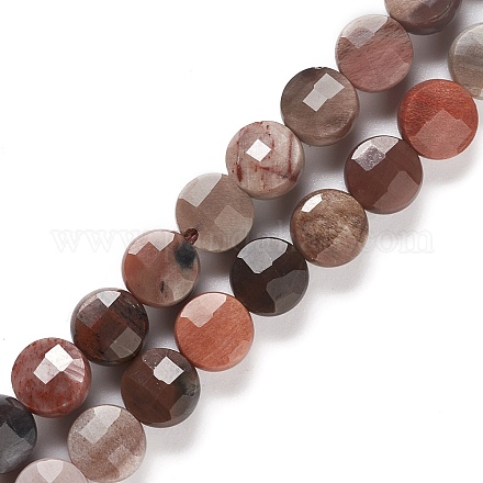 Chapelets de perles en bois pétrifié naturel G-K332-B02-1