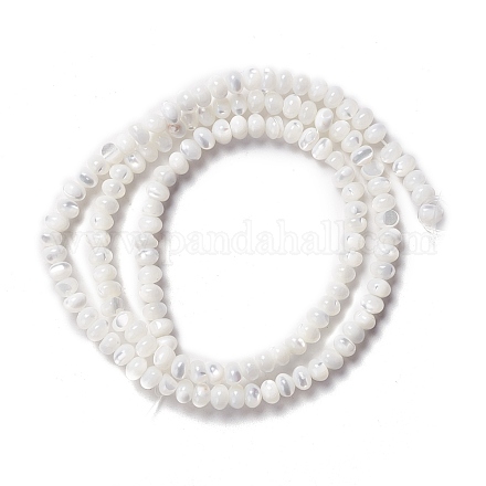 Fili di perle di conchiglia trochid naturale / trochus X-SSHEL-O001-24B-02-1
