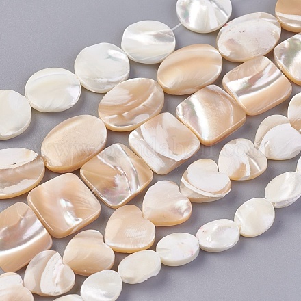 Chapelets de perles de coquillage BSHE-I008-05-1