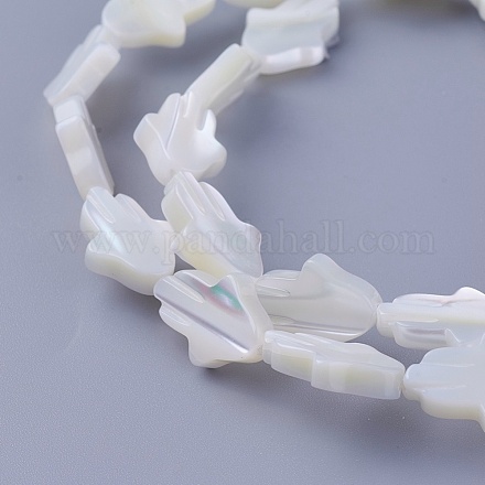 Chapelets de perles de coquillage SSHEL-E571-34-1