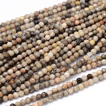 Natural Fossil Coral Round Bead Strands G-O094-08-4mm-1
