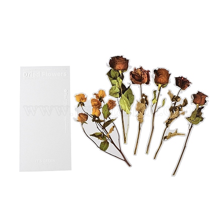 6 adesivo decorativo per piante autoadesive per animali domestici AJEW-Q146-01G-1