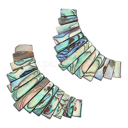 BENECREAT 2 Strands Natural Abalone Shell Rectangle Graduated Strands with Storage Containers for DIY Jewelry Making SSHEL-BC0001-07-1