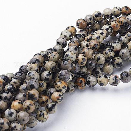 Chapelets de perles en jaspe dalmatien naturelle GSR6mmC004-1
