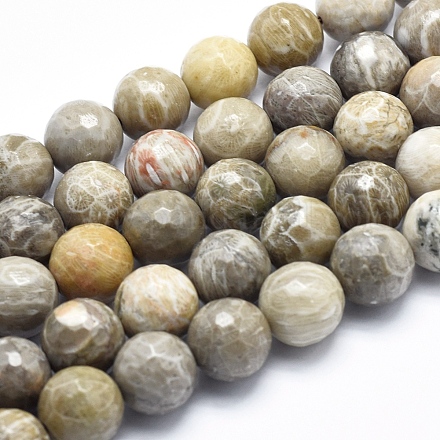 Fossiles naturelle perles de corail brins G-K256-11-10mm-1
