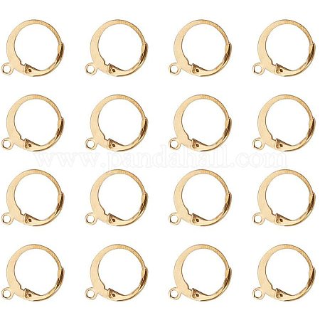 Pandahall posteriore orecchino risultati Stainless Steel Lever Back  Earrings Hoop Earrings-13x10mm : : Casa e cucina